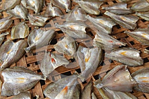 Dried fish on Bamboo sieve with sunny