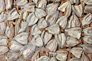 Dried fish on Bamboo sieve with sunny