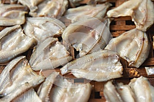 Dried fish on Bamboo sieve with sunny