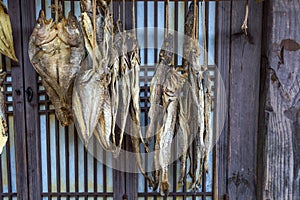 Dried fish at Dae Jang Geum Park or Korean Historical Drama in korea.