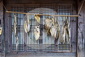 Dried fish at Dae Jang Geum Park or Korean Historical Drama in korea. photo