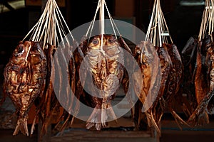 Dried Fish,Fish preservation by drying