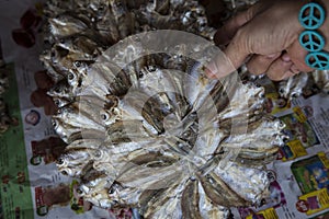 Dried  fish photo