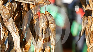 Dried fish Gobiidae hanging and drying on a rope on a street market counter close up view