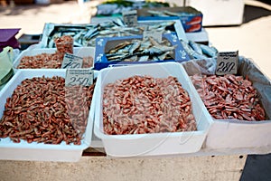 Dried fish and grilled boiled shrimp on stall on summer market for sale. Salted local seafood. Fishing concept.