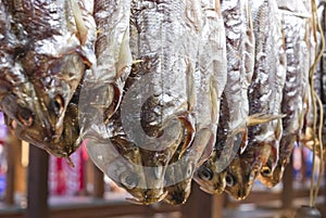 Dried Fish hanging