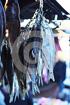 Dried fish hanging on a rope. fisherman`s catch