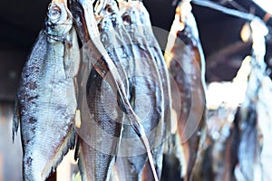 Dried fish hanging on a rope. fisherman`s catch