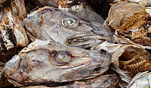 Dried fish heads for export