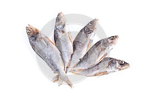 Dried fish isolated on a white background