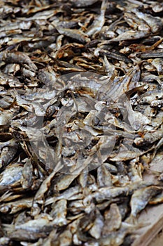 Dried Fish in market