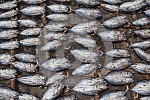 Dried Fish at Market