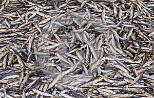 Dried fish Market in Labuan Bajo, Flores Island, Indonesia