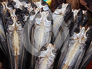 Dried fish