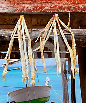 Dried fish peix sec typical food in Mediterranean