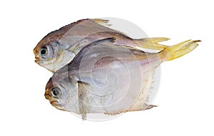 Dried fish. Piranha.