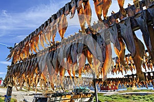 Dried fish in Rodebay settlement