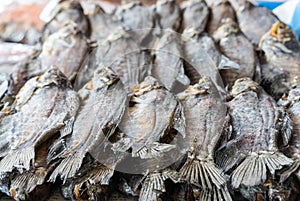 Dried fish for sale on a shop in Mekong delta, Vietnam