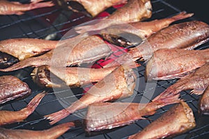 Dried fish,Stack of kipper