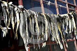 Dried fish