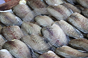 Dried fish of trichogaster pectoralis fish