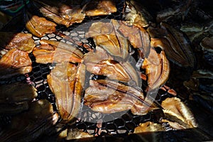 Dried fish,Trichogaster pectoralis,Snake Skin Gourami,salted fis