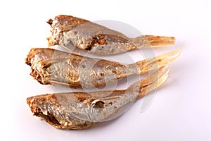 Dried fish on a white background