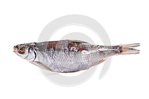 Dried fish on a white background