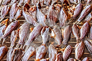 Dried fishDried fish,close up,selective focus.