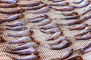 Dried fishDried fish,close up,selective focus