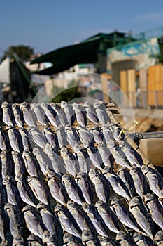 Dried fishes in Cheung Chau