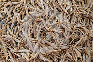 Dried fishes in fishing market