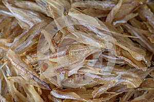 Dried fishes in fishing market