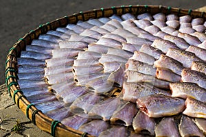 Dried fishes at Thailand marker