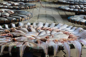 Dried fishes at Thailand marker