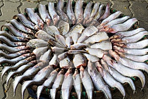 Dried fishes at Thailand marker