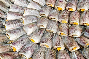 Dried fishes, Trichogaster pectoralis.