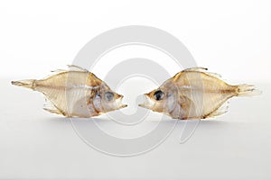 Dried fishs isolated on white background