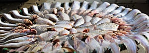 Dried fishs of local food at open market