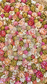 Dried floral arrangment for background