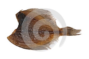 Dried flounder isolated is on white background. Background of dried flounder. Dried flatfish isolated