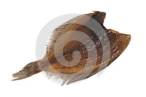 Dried flounder isolated is on white background. Background of dried flounder. Dried flatfish isolated