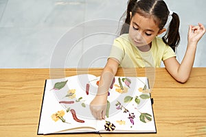 Dried flower art. Herbarium. Child making picture from pressed flowers.