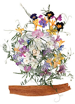 Dried flower petals, application bouquet of dry  flowers