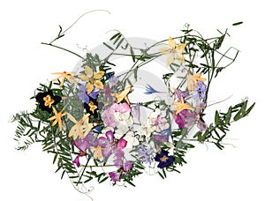 Dried flower petals, application bouquet of dry  flowers