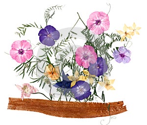 Dried flower petals, application bouquet of dry  flowers