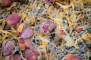 Dried flower potpourri aromatherapy