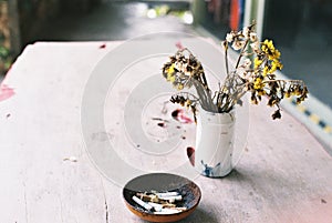 Dried flower in vase