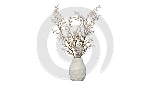 Dried Flower on white vase porcelin