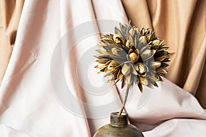 Dried flower in wooden vase against draper. Delicate modern still life